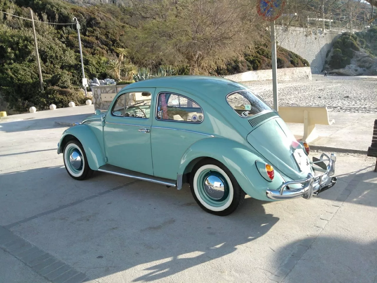 Imagen 1